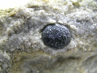 Cuarzo var. morión (negro)