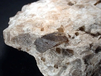 Dolomita var. Teruelita