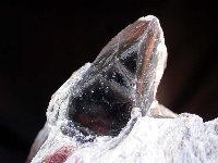 Dolomita var. Teruelita