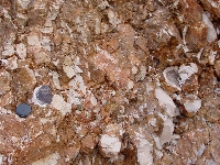 Calcedonia var. ágata